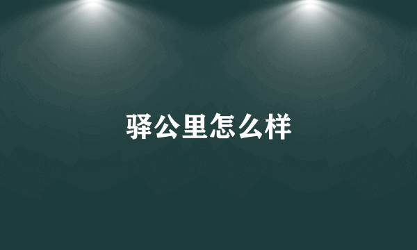 驿公里怎么样