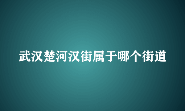 武汉楚河汉街属于哪个街道