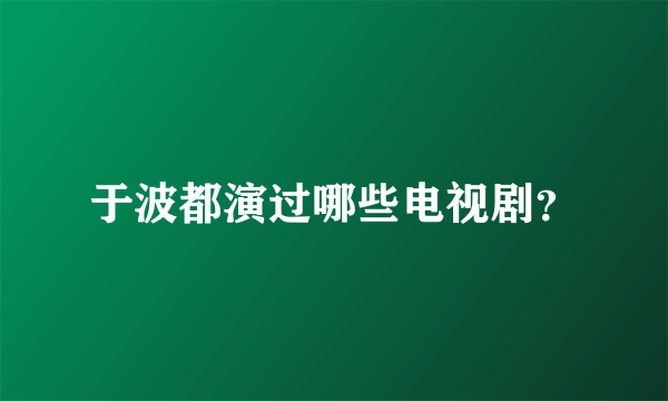 于波都演过哪些电视剧？