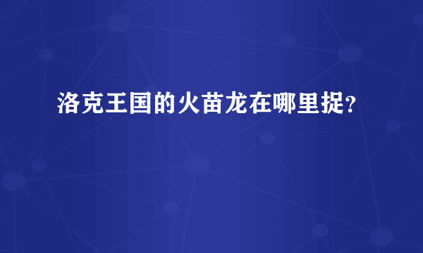 洛克王国的火苗龙在哪里捉？