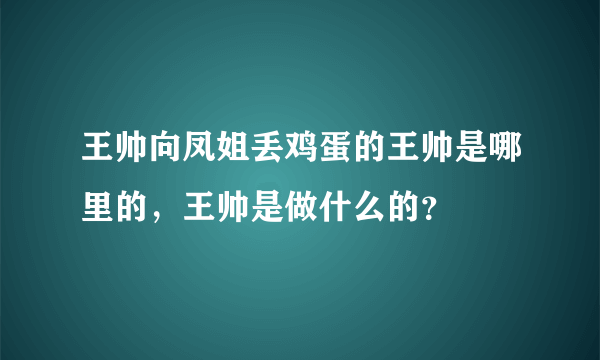 王帅向凤姐丢鸡蛋的王帅是哪里的，王帅是做什么的？