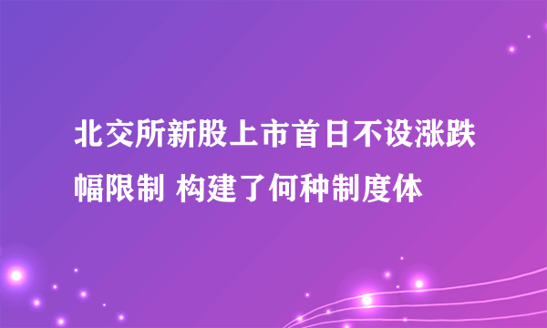 北交所新股上市首日不设涨跌幅限制 构建了何种制度体