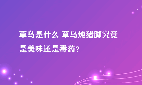 草乌是什么 草乌炖猪脚究竟是美味还是毒药？