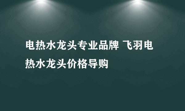 电热水龙头专业品牌 飞羽电热水龙头价格导购