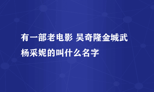 有一部老电影 吴奇隆金城武杨采妮的叫什么名字