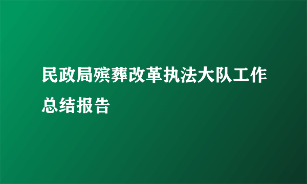 民政局殡葬改革执法大队工作总结报告