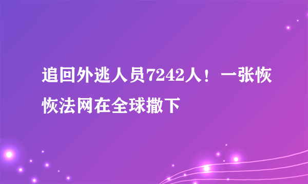 追回外逃人员7242人！一张恢恢法网在全球撒下