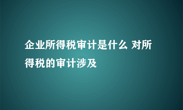 企业所得税审计是什么 对所得税的审计涉及