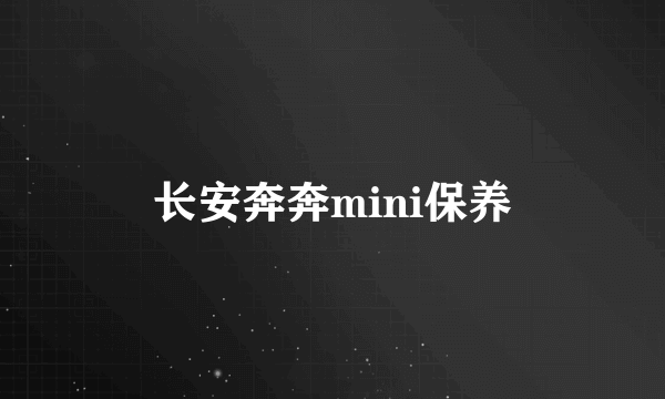 长安奔奔mini保养