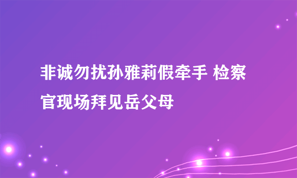 非诚勿扰孙雅莉假牵手 检察官现场拜见岳父母