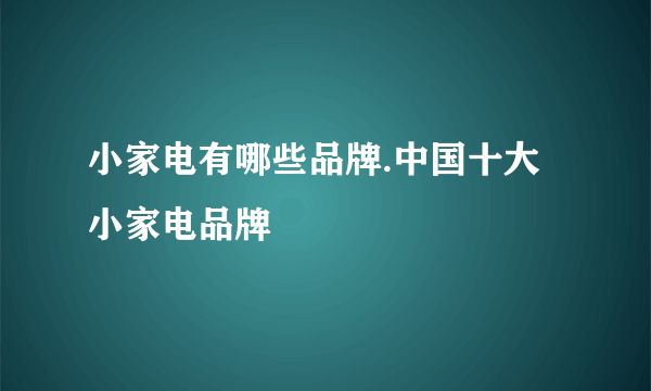 小家电有哪些品牌.中国十大小家电品牌