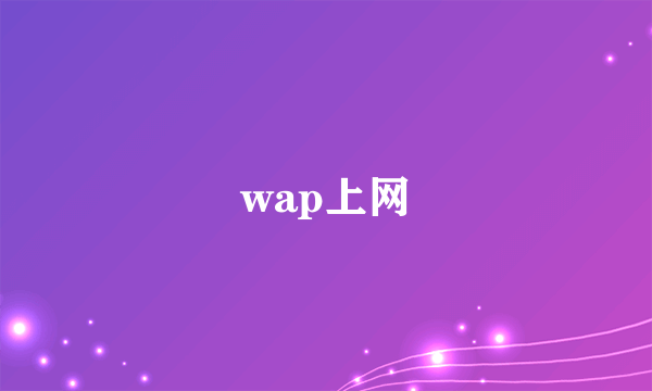 wap上网