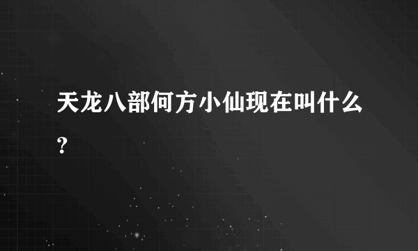 天龙八部何方小仙现在叫什么？