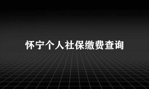 怀宁个人社保缴费查询