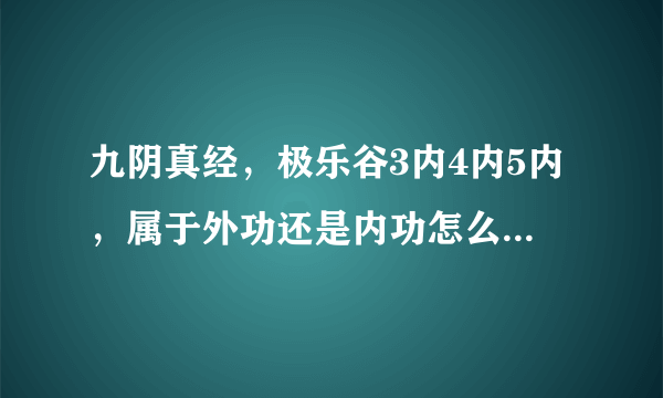 九阴真经，极乐谷3内4内5内，属于外功还是内功怎么样，本人现在君子，不想玩了，推荐个内功门派。无根