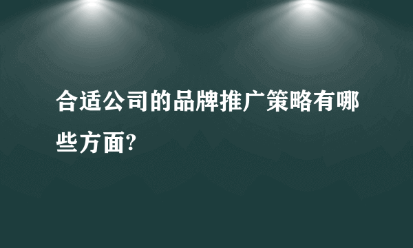 合适公司的品牌推广策略有哪些方面?