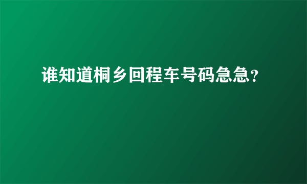 谁知道桐乡回程车号码急急？