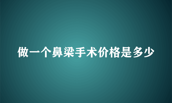 做一个鼻梁手术价格是多少