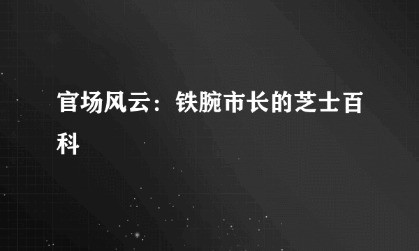 官场风云：铁腕市长的芝士百科