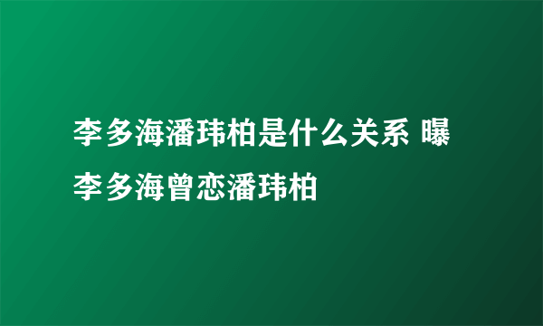 李多海潘玮柏是什么关系 曝李多海曾恋潘玮柏