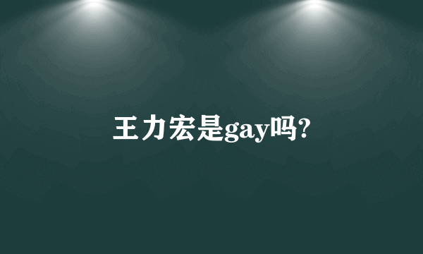 王力宏是gay吗?