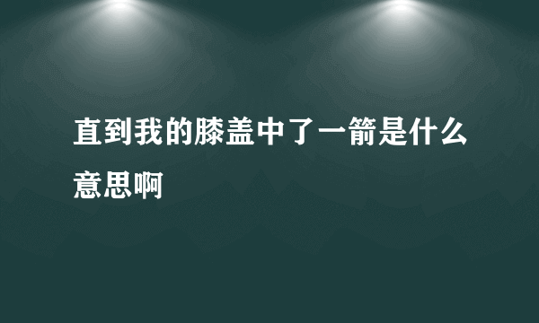 直到我的膝盖中了一箭是什么意思啊