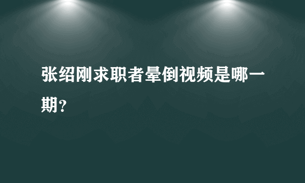 张绍刚求职者晕倒视频是哪一期？