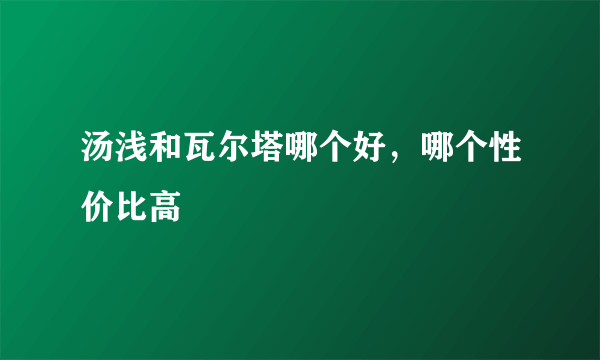 汤浅和瓦尔塔哪个好，哪个性价比高