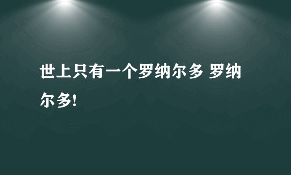 世上只有一个罗纳尔多 罗纳尔多!