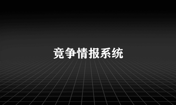 竞争情报系统