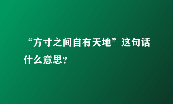 “方寸之间自有天地”这句话什么意思？