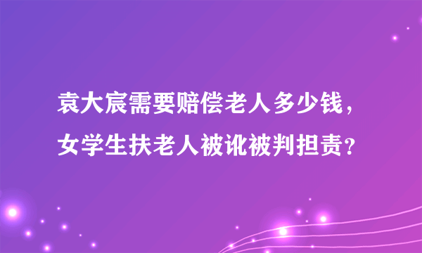 袁大宸需要赔偿老人多少钱，女学生扶老人被讹被判担责？