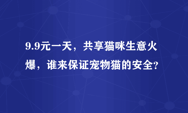 9.9元一天，共享猫咪生意火爆，谁来保证宠物猫的安全？