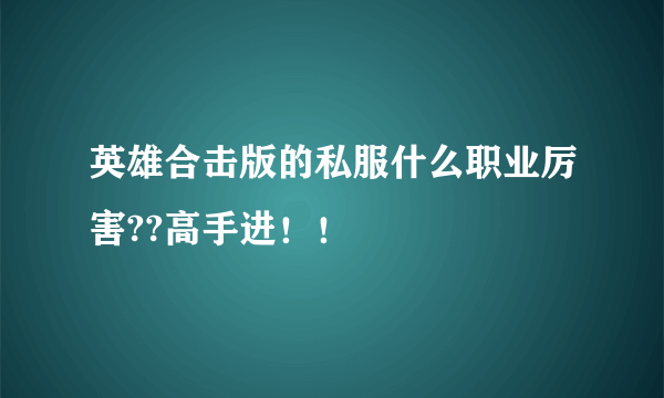 英雄合击版的私服什么职业厉害??高手进！！