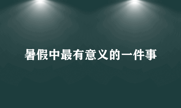 暑假中最有意义的一件事