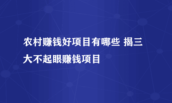 农村赚钱好项目有哪些 揭三大不起眼赚钱项目