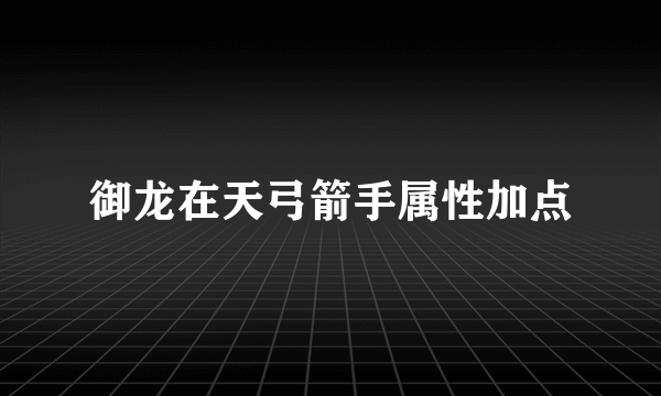 御龙在天弓箭手属性加点