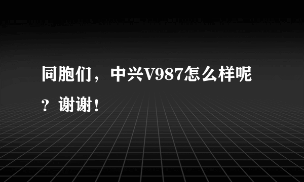 同胞们，中兴V987怎么样呢？谢谢！