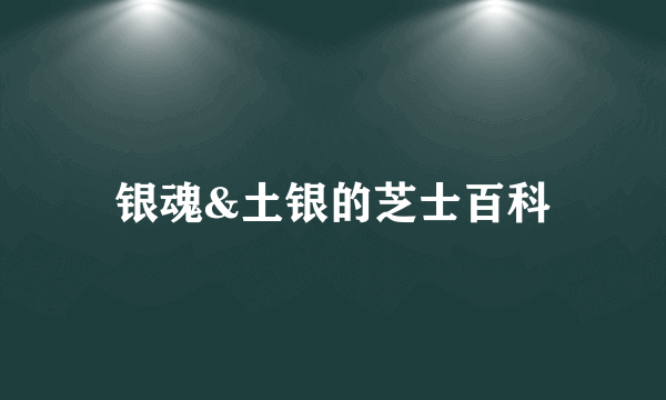 银魂&土银的芝士百科