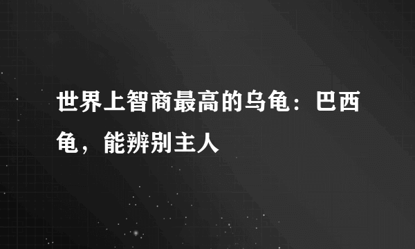 世界上智商最高的乌龟：巴西龟，能辨别主人