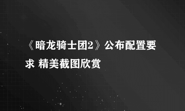 《暗龙骑士团2》公布配置要求 精美截图欣赏