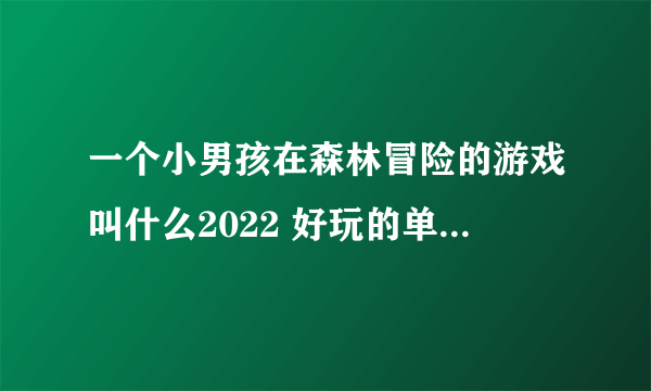 一个小男孩在森林冒险的游戏叫什么2022 好玩的单人冒险游戏下载