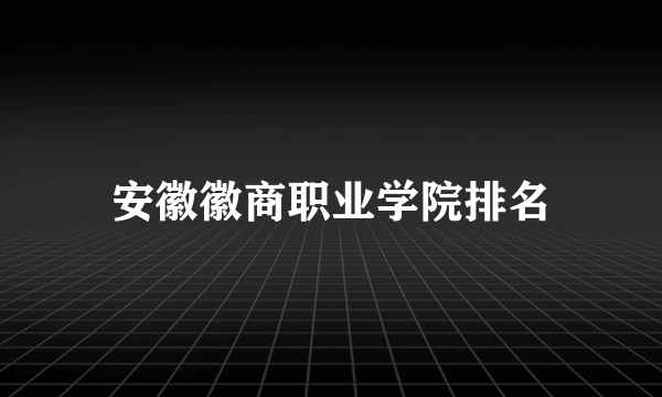 安徽徽商职业学院排名