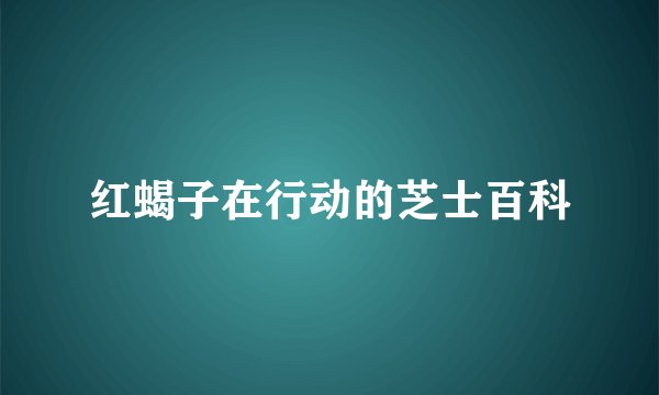 红蝎子在行动的芝士百科