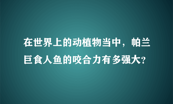 在世界上的动植物当中，帕兰巨食人鱼的咬合力有多强大？