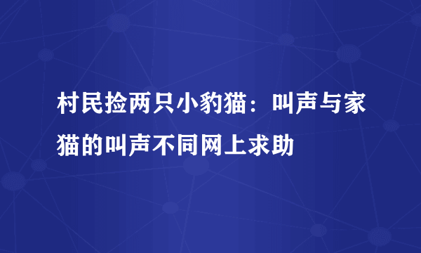 村民捡两只小豹猫：叫声与家猫的叫声不同网上求助