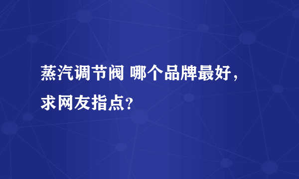 蒸汽调节阀 哪个品牌最好，求网友指点？