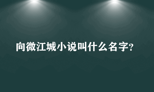 向微江城小说叫什么名字？