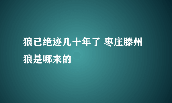 狼已绝迹几十年了 枣庄滕州狼是哪来的