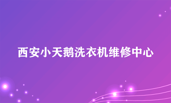 西安小天鹅洗衣机维修中心